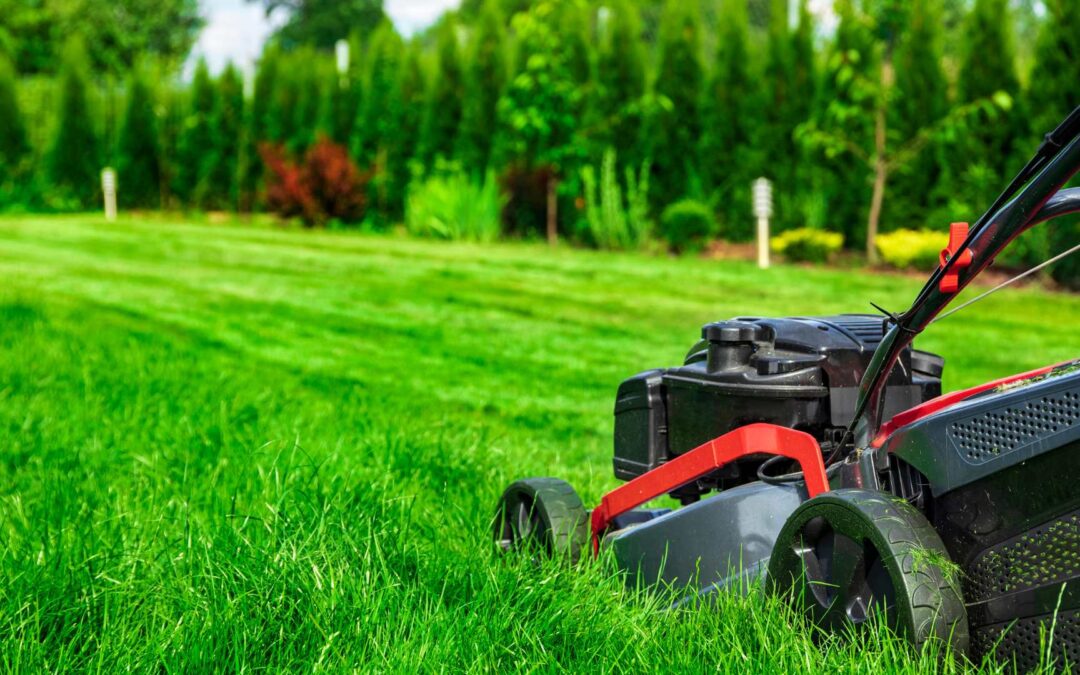 Why Commercial Lawns Need Weekly Maintenance Now